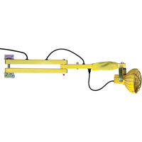 Dock Loading Lights with Flexible Arm, Incandescent Light, 40" Arm XC455 | Fastek