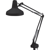 Heavy-duty Combination Task Light, 22/60 W, Fluorescent/Incandescent, 45" Neck, Black Fastek