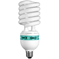 Hang-A-Light<sup>®</sup> Work Light Bulb, 105 W XC755 | Fastek