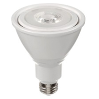 LED Bulb, PAR30, 10 W, 800 Lumens, Medium Base Fastek