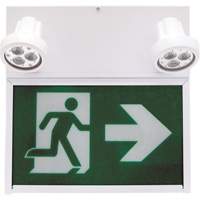 Running Man Exit Sign, LED, Battery Operated/Hardwired, 12" L x 12 1/2" W, Pictogram XE664 | Fastek