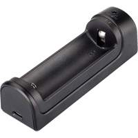 Single Channel Smart Battery Charger Fastek