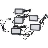 Chaîne de baladeuses DEL, 5 Lumi&egrave;res, 50' lo, Boîtier en Plastique Fastek