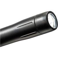 Penlight, LED, 139 Lumens, Plastic Body, AAA Batteries, Included Fastek
