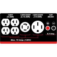 Gasoline/Propane Generator with Electric Start Fastek