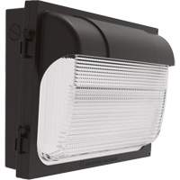 TWX Wall Luminaire, LED, 480 V, 9 W - 54 W, 14" H x 18" W x 5" D XI974 | Fastek