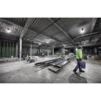 RADIUS Temporary Site Light, LED, 130 W, 15000 Lumens Fastek