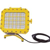 Explosion Proof Floodlight with Floor Stand, LED, 40 W, 5600 Lumens, Aluminum Housing Fastek