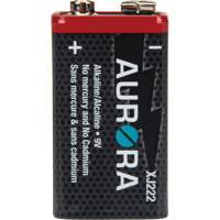 Industrial Alkaline Batteries, 9 V XJ222 | Fastek