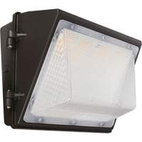Non-Cutoff Wall Pack, LED, 120 - 277 V, 75 - 110 W, 9.33" H x 6.65" W x 14.5" D Fastek