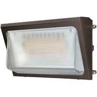 Wall Pack Light Fixture, LED, 120 -347 V, 40 W Fastek
