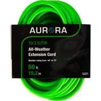 Cordon rallonge de calibre industriel, Toutes saisons, SJTW, AWG 10/3, 15 A, 50' Fastek