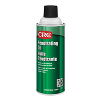 Penetrating Oil, Aerosol Can, 312 g Fastek